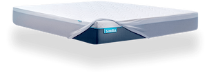 Mattress Protector