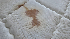 How to Get Stains Out of a Mattress