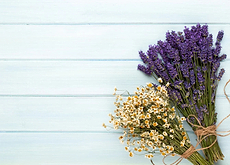 The best scents to help you drift off to sleep