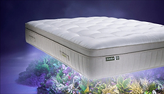 Sleeping Sustainably: What Actually Makes a Mattress Eco-Friendly