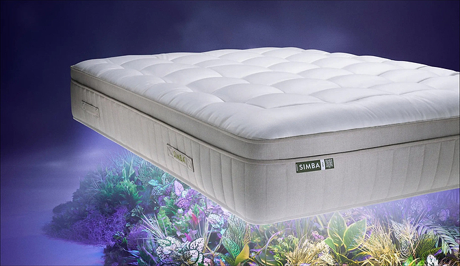 Sleeping Sustainably: What Actually Makes a Mattress Eco-Friendly