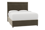 Ludlow Bed Mole